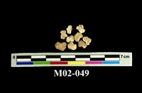 藏品(鈣長石)的圖片